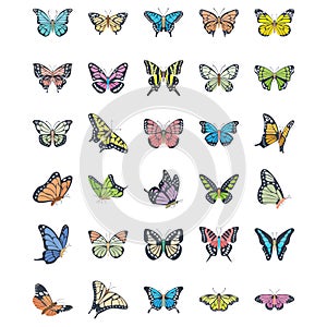 Butterfly Flat Vector Icons Set