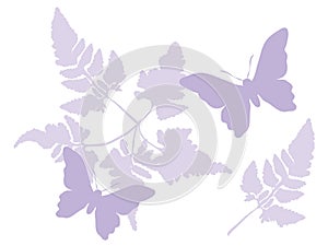 Butterfly Floral Background