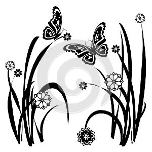 Butterfly Floral Ornamental 32