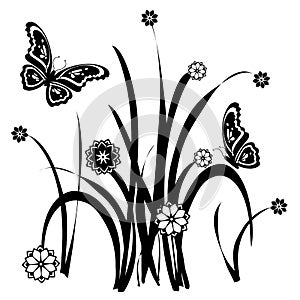 Butterfly Floral Ornamental 33