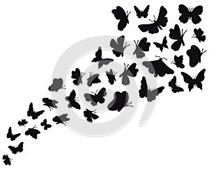 Butterfly flow silhouettes. Flying butterflies graphic wave, black flower butterflies silhouette. Papillon sketch vector