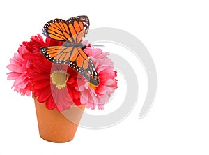 Butterfly on flower