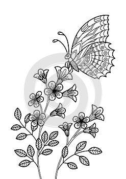 Butterfly on the flower anti-tress doodle coloring book page for adult. Zentangle insect black and white illustration