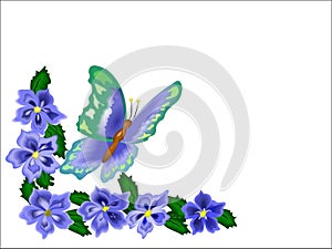 Butterfly Flower Border