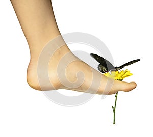 A butterfly on a flower held with girl`s bare foot isolated on white background