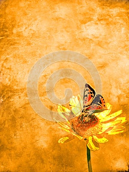 Butterfly and flower paper