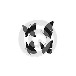 Butterfly flying black vector silhouette set.