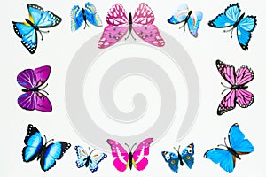 Butterfly frame decoration on white background