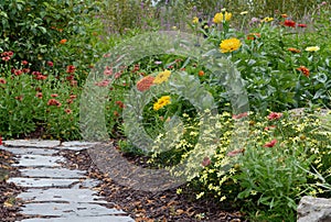 Butterfly Garden of Flowers