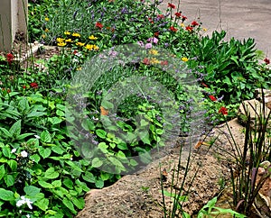 Butterfly garden in Memphis zoo