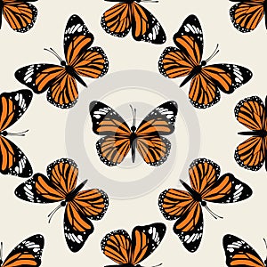 Butterfly groovie pattern