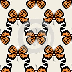 Butterfly groovie pattern