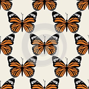 Butterfly groovie pattern