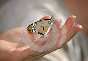 Butterfly on hand