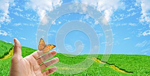 Butterfly on hand to let go flying to nature blue sky and green for freedom life ,Butterfly on hand in jungle the beauty of nature