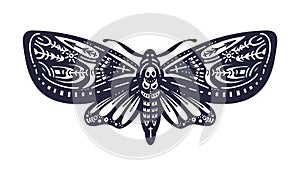 Butterfly hawk moth or death. Vector insect, print