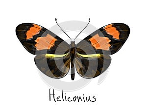 Butterfly Heliconius. Watercolor imitation.