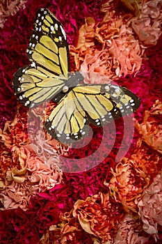 Butterfly homage made of flowers