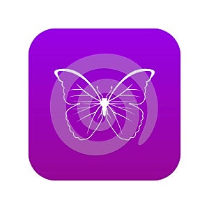 Butterfly icon digital purple