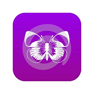 Butterfly icon digital purple