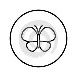 Butterfly. Icon. Editable Thin line. Vector illustration