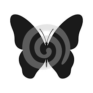 Butterfly icon. Isolated black silhouette