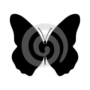 Butterfly icon. Isolated black silhouette