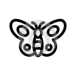 Butterfly Icon Vector Symbol Design Illustration