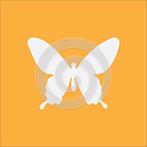 Butterfly icon on orange background