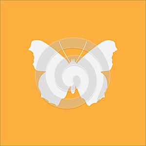 Butterfly icon on orange background