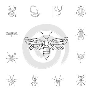 Butterfly icon. Simple element illustration. Butterfly symbol design from Insect collection set. Can be used for web and mobile