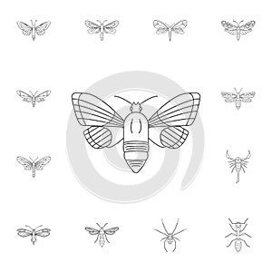 Butterfly icon. Simple element illustration. Butterfly symbol design from Insect collection set. Can be used for web and mobile