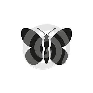 Butterfly icon on white background