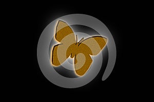 Butterfly illustration design on the black background