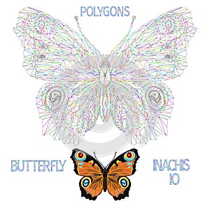 Butterfly  Inachis io  meadow and forest insect outline multicolored and natural polygons   vector illustration editable
