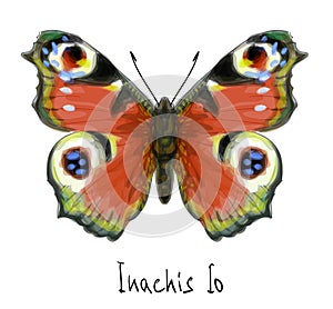 Butterfly Inachis Io. Watercolor imitation.