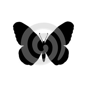 Butterfly insect black silhouette animal