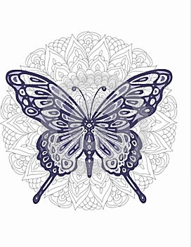 Butterfly insects mandala geometry antistress by hand on a white background geometry symmetry photo