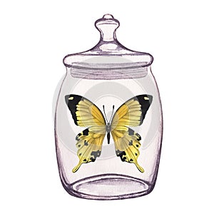 Butterfly inside transparent glass jar. Hand-drawn watercolor illustration isolated on white background. For postcards