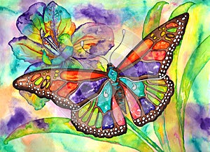 Butterfly iris