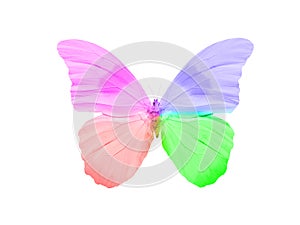 butterfly isolated on white background. wings with purple, blue, green, red