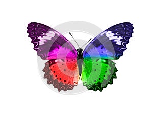 butterfly isolated on white background. wings with purple, blue, green, red