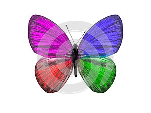 butterfly isolated on white background. wings with purple, blue, green, red