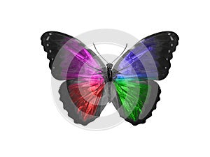 butterfly isolated on white background. wings with purple, blue, green, red