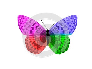 butterfly isolated on white background. wings with purple, blue, green, red