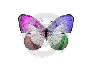 butterfly isolated on white background. wings with purple, blue, green, red