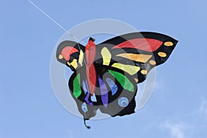 Butterfly kite