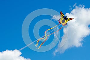 Butterfly kite in a blue sky