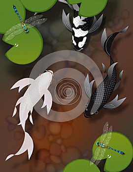 Butterfly koi fish swimming in pond with dragonflies and lily pads