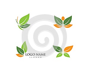 Butterfly leaf Logo Template